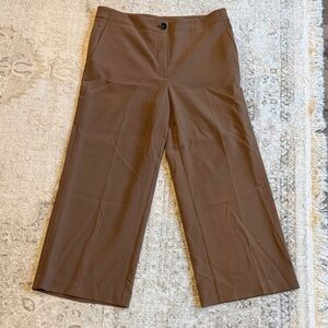 Ann Taylor Brown Ankle Pants